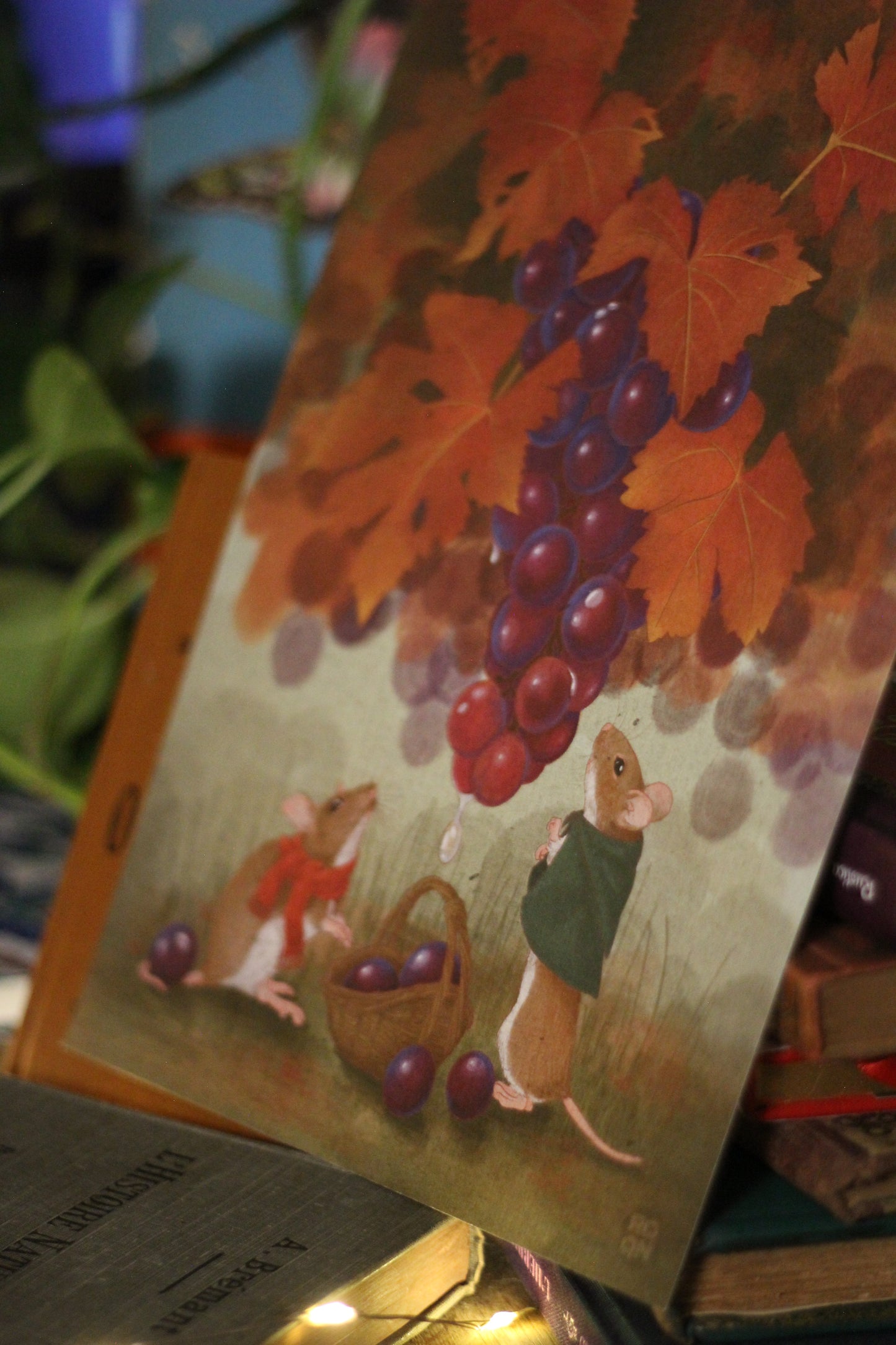 ⚘ Récolte - A4 ⚘