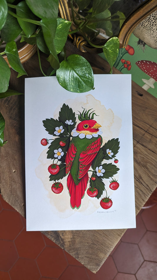 ⚘ Oiseau-fraise - A4 ⚘