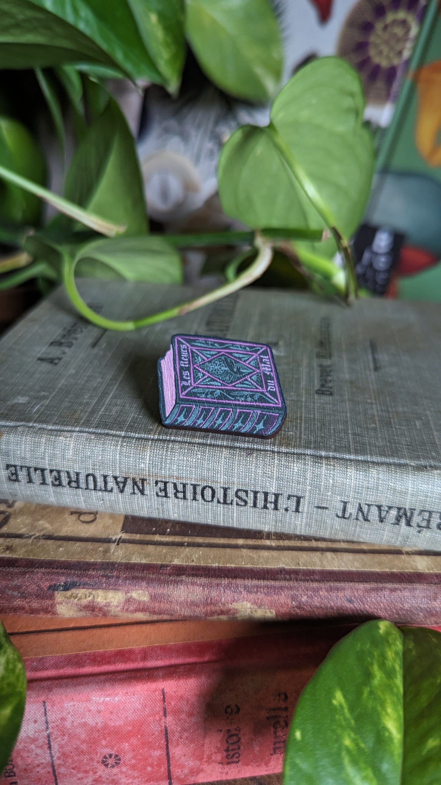 ✦ Pin's livre vert ✦