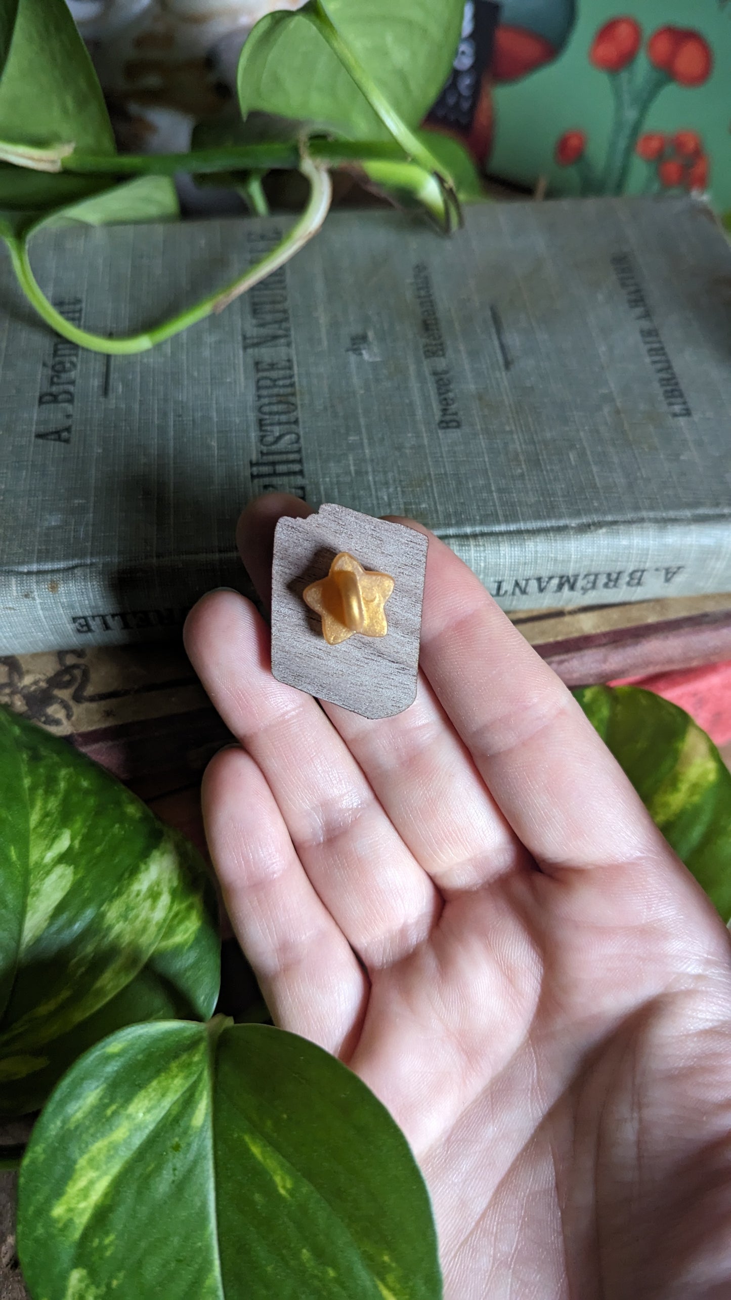 ✦ Pin's livre vert ✦