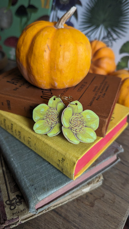 ✵ Boucles Bouton d'or ✵